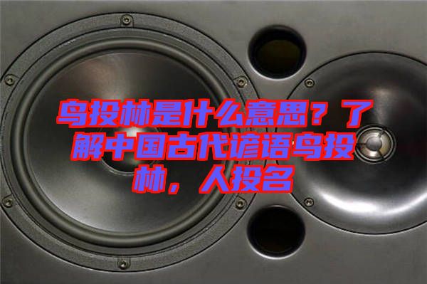 鳥投林是什么意思？了解中國古代諺語鳥投林，人投名