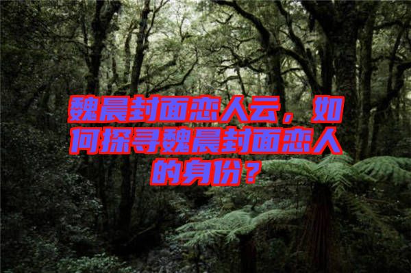 魏晨封面戀人云，如何探尋魏晨封面戀人的身份？