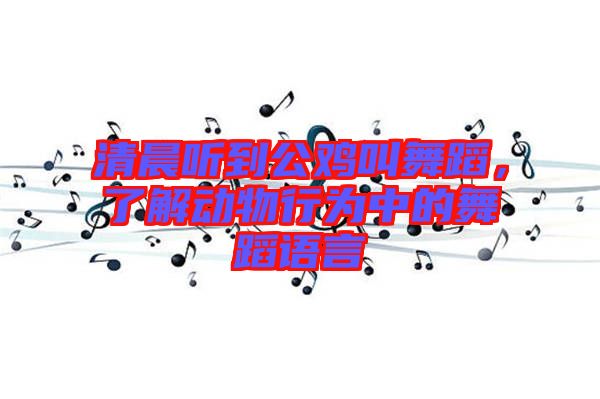 清晨聽到公雞叫舞蹈，了解動(dòng)物行為中的舞蹈語(yǔ)言