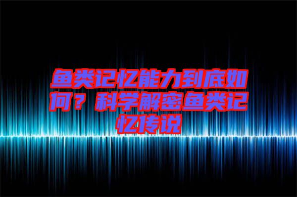 魚(yú)類(lèi)記憶能力到底如何？科學(xué)解密魚(yú)類(lèi)記憶傳說(shuō)