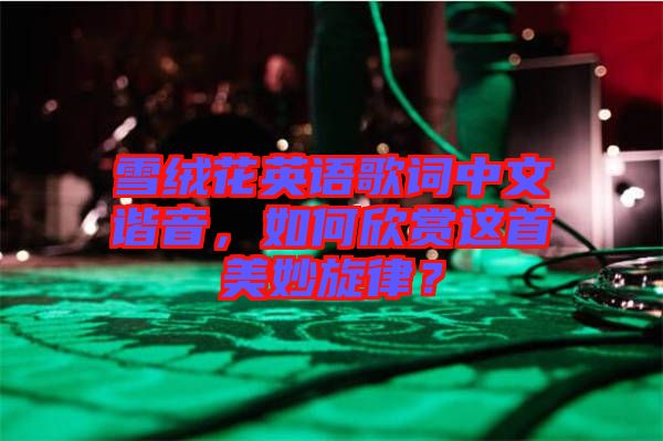 雪絨花英語歌詞中文諧音，如何欣賞這首美妙旋律？