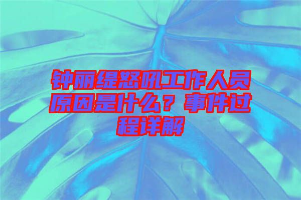 鐘麗緹怒吼工作人員原因是什么？事件過程詳解