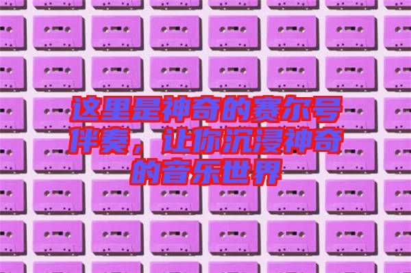 這里是神奇的賽爾號伴奏，讓你沉浸神奇的音樂世界
