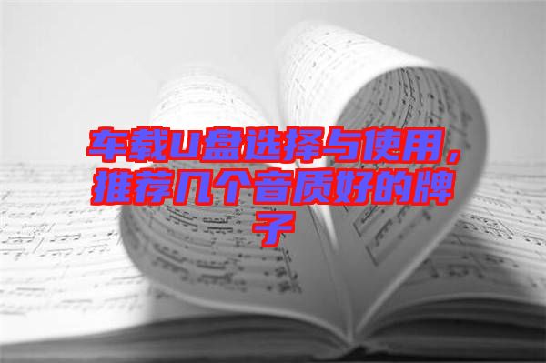 車載U盤選擇與使用，推薦幾個音質(zhì)好的牌子
