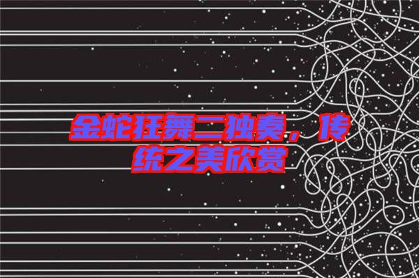 金蛇狂舞二獨奏，傳統(tǒng)之美欣賞