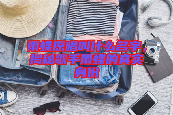 雨蝶原唱叫什么名字，揭秘歌手雨蝶的真實身份