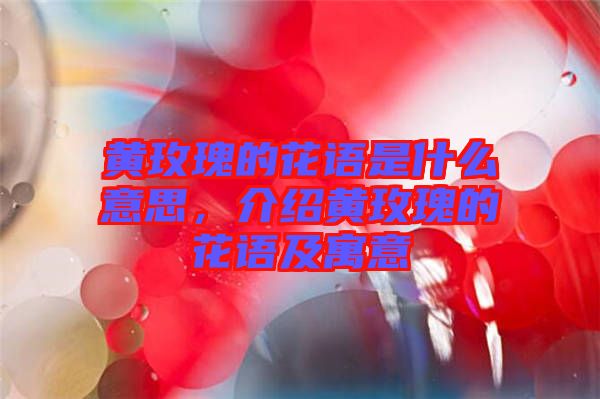 黃玫瑰的花語是什么意思，介紹黃玫瑰的花語及寓意