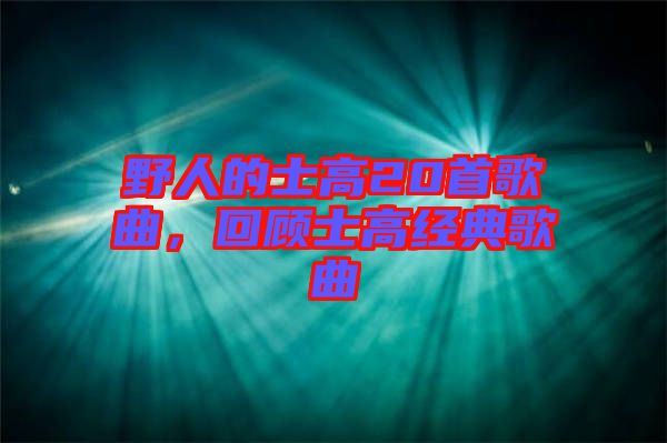 野人的士高20首歌曲，回顧士高經(jīng)典歌曲