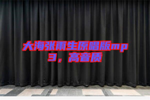 大海張雨生原唱版mp3，高音質(zhì)