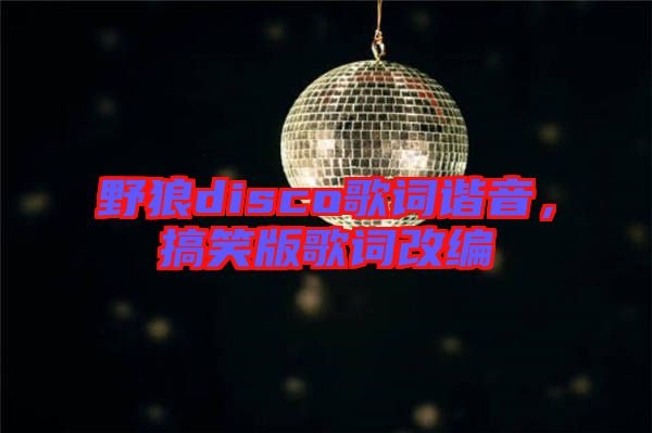 野狼disco歌詞諧音，搞笑版歌詞改編