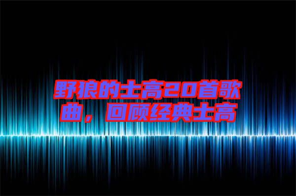 野狼的士高20首歌曲，回顧經(jīng)典士高