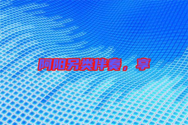 阿陽另類伴奏，享