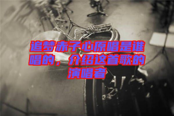 追夢赤子心原唱是誰唱的，介紹這首歌的演唱者