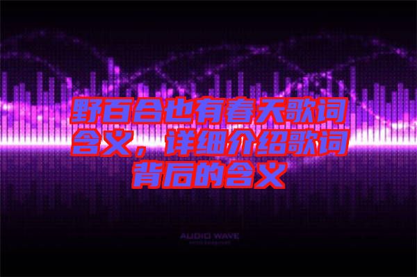 野百合也有春天歌詞含義，詳細介紹歌詞背后的含義
