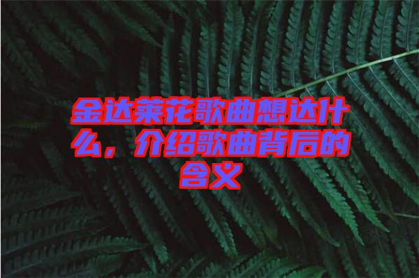金達(dá)萊花歌曲想達(dá)什么，介紹歌曲背后的含義